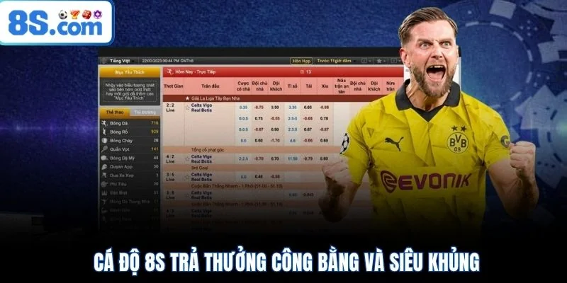 Cá độ 8S trả thưởng công bằng và siêu khủng