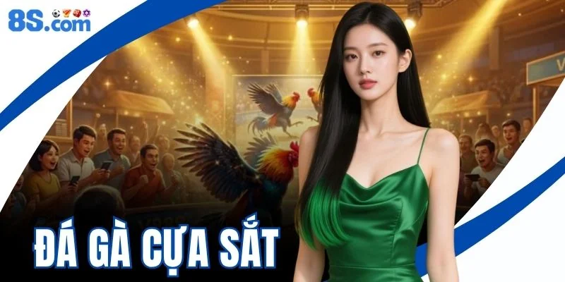 Đá Gà Cựa Sắt 8S - Trường Đấu Kịch Tính Và Cược Hốt Bạc 2026