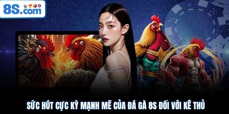 Sức hút cực kỳ mạnh mẽ của đá gà 8S đối với kê thủ