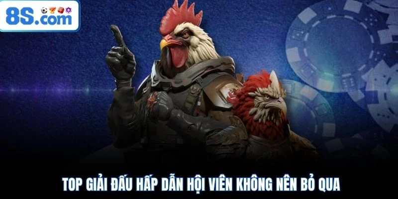 Top giải đấu hấp dẫn hội viên không nên bỏ qua